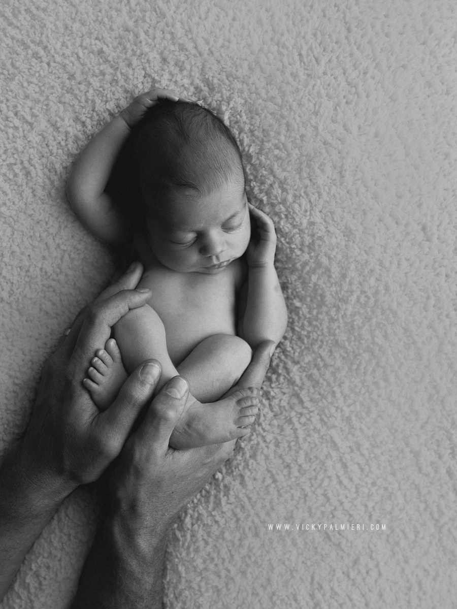 Melbourne Newborn Photographer